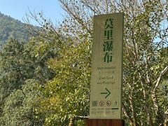 -莫里热带雨林景区