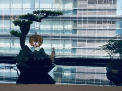 -溢美古法抗衰