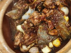 啫啫小甲鱼-金龙·打边炉(武进路店)