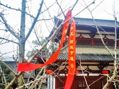 -潜山国家森林公园