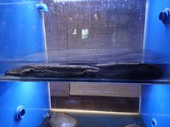 -悦硒楼·新派恩施菜