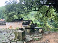 -杨家堂村