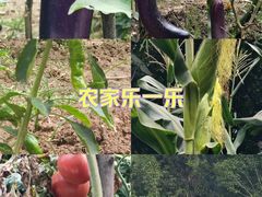 -抱龙峪