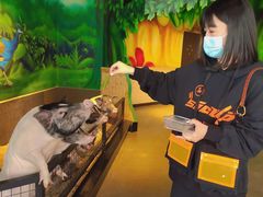 -昆明大悦城未来动物城(螺蛳湾中心店)