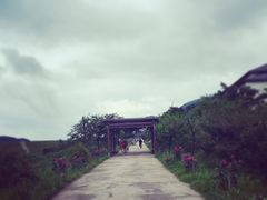 -浙西天池景区