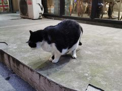 -囿面传统制面馆(中央路店)
