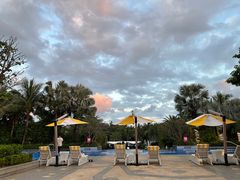 -味餐厅·海鲜·火锅·自助餐