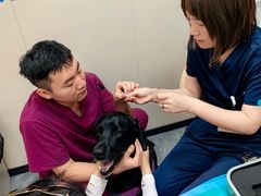 -芭比堂动物医院·CT·微创中心(新顺分院)