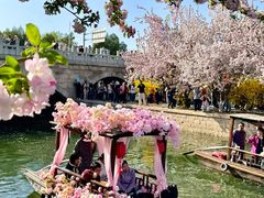 -元大都城垣遗址公园