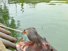 -杭州野生动物世界