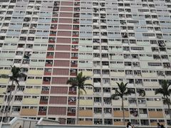 -彩虹村
