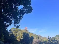 -深圳仙湖植物园