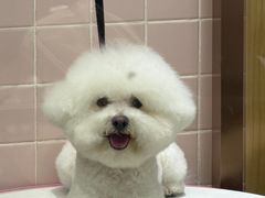-FAELING PETS美天灵宠物(富力广场店)