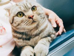 -菲尔斯特宠物医院