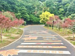 -广州市帽峰山景区