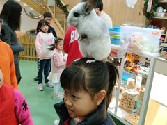 -藦茜花园宠物主题亲子互动体验馆(国顺东路店)