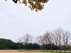 -上海大学(宝山校区)
