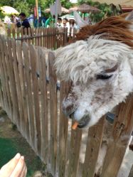 -萌宠亲子动物乐园(槐房万达店)