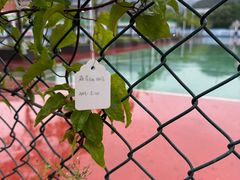 -浙江农林大学(东湖校区)