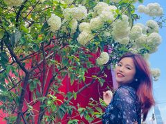 -大龙山(地铁站)