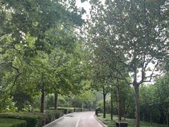 -滨河世纪广场公园
