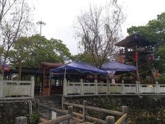 -红山村