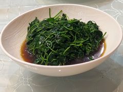 金花菜酒香-新聚丰菜馆(太监弄店)