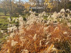 -石家庄市植物园