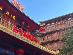 -越秀西湖花市(广州城市广场花卉店)