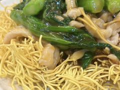 -德兴美食坊(屯门店)