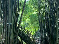 -凤栖山