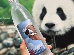 -成都大熊猫繁育研究基地