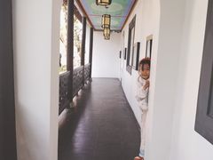 -古琴台