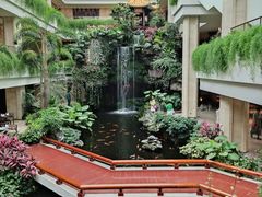 -白天鹅宾馆-宏图府餐厅