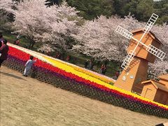 -苏州上方山国家森林公园