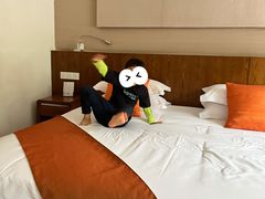 -九华山聚龙大酒店