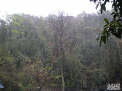 窗外的景色-龙井壹号·茶缘山景宴(龙井村店)