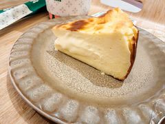 -森茶(湛江万达店)