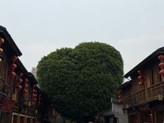 -安泰楼·佛跳墙创始人·传统闽味早茶·酒楼(三坊七巷闽菜地标店)