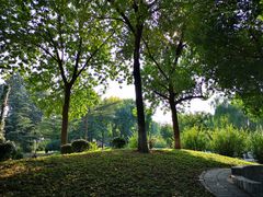 -丰台花园