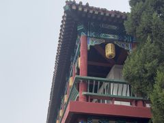-中国翰园碑林