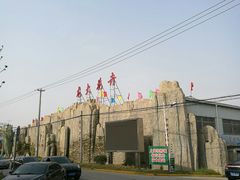 -龙大花卉苗木市场