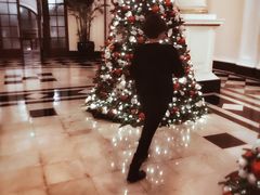 -LONG BAR 廊吧(外滩华尔道夫酒店)