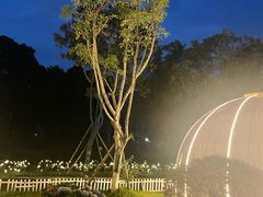 -悦见花开·花园里的火锅·露营·下午茶