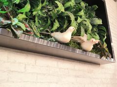 -悦来悦牛潮汕牛肉火锅(大浪店)