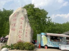 -合肥滨湖国家森林公园