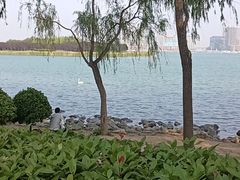 -北龙湖湿地公园