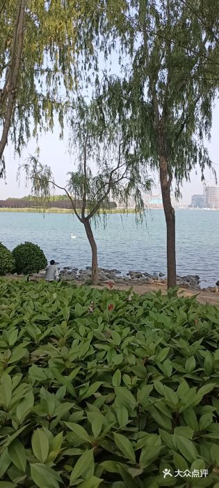 北龙湖湿地公园图片