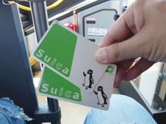 -福冈国际邮轮码头