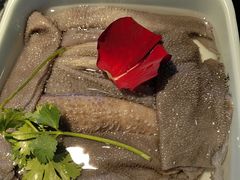 -蜀九香火锅(江油店)